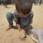 レス3番の画像1