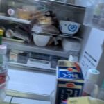 レス2番の画像4