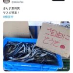 レス3番の画像1