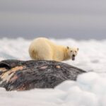 レス1番の画像5