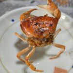 レス2番の画像2