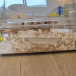 レス3番の画像1