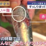 レス1番の画像4