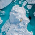 レス1番の画像8