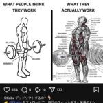 レス1番のリンク先のサムネイル画像