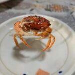 レス2番の画像1