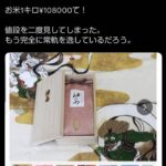 レス2番の画像1