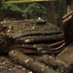 レス2番の画像1