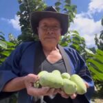 レス1番のリンク先のサムネイル画像