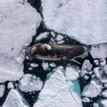 レス1番の画像6