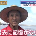 レス1番の画像2