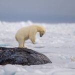 レス1番の画像7