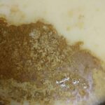 レス23番の画像1