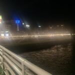 レス13番の画像3