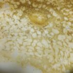 レス9番の画像1