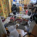 レス19番の画像1