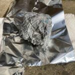 レス12番の画像1