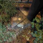 レス35番の画像1