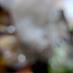 レス18番の画像24