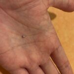 レス1番の画像3