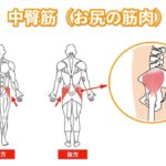 レス20番の画像1