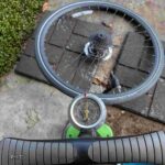 レス12番の画像3