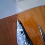 レス34番の画像1