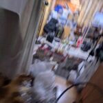 レス19番の画像33