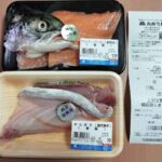 レス41番の画像1