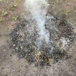 レス3番の画像1