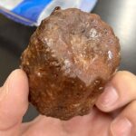 レス8番の画像1