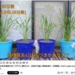 レス34番の画像1