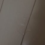 レス5番の画像1