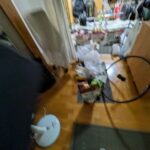 レス19番の画像66