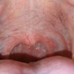 レス23番の画像1