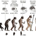 レス34番の画像1