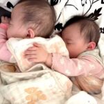 レス1番のリンク先のサムネイル画像