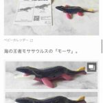 レス1番の画像5