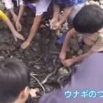 レス1番のリンク先のサムネイル画像