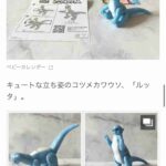 レス1番の画像6