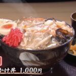 レス32番の画像3