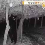 レス1番の画像2