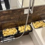 レス21番の画像1