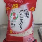 レス22番の画像1