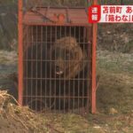 レス2番の画像2