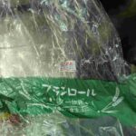 レス1番の画像4