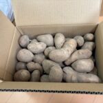 レス2番の画像1