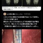 レス1番の画像1