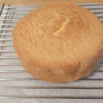 レス22番の画像2