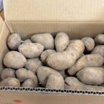 レス5番の画像1